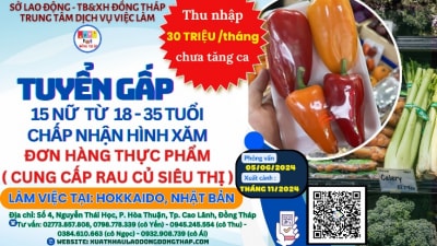 Tuyển gấp 15 nữ đi làm việc tại Nhật Bản hợp đồng 03 năm