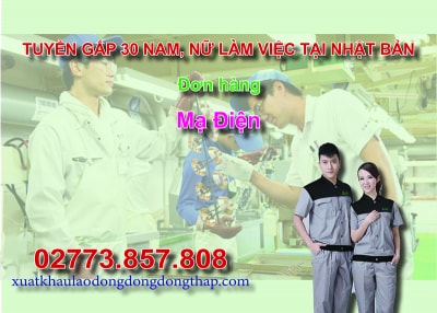 Tuyển gấp 30 nam, nữ làm việc tại Nhật Bản đơn hàng mạ điện