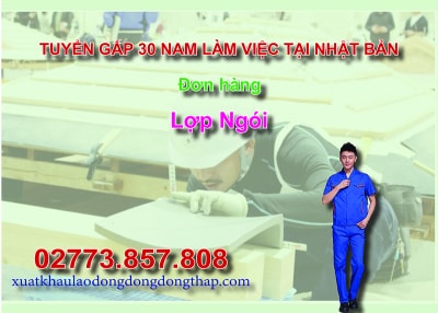 Tuyển gấp 30 nam làm việc tại Nhật Bản đơn hàng lợp ngói