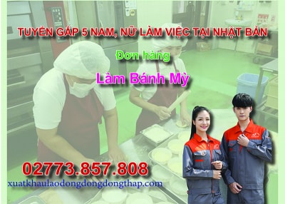 Tuyển gấp 5 nam, nữ làm việc tại Nhật Bản đơn hàng làm bánh mỳ