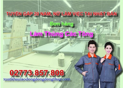 Tuyển gấp 20 nam, nữ làm việc tại Nhật Bản đơn hàng làm thùng các tông