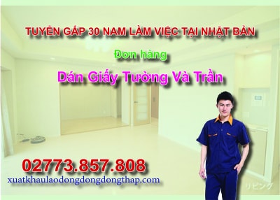 Tuyển gấp 30 nam làm việc tại Nhật Bản đơn hàng dán giấy tường và trần