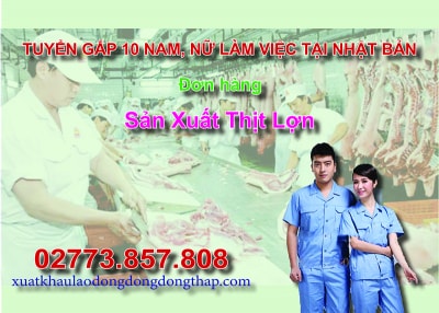 Tuyển gấp 10 nam, nữ làm việc tại Nhật Bản đơn hàng sản xuất thịt lợn