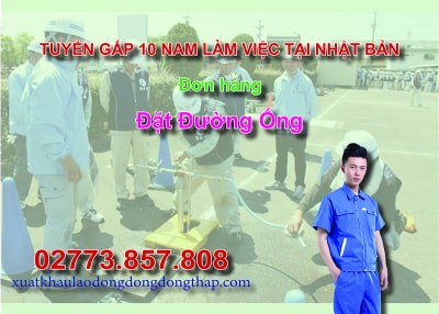Tuyển gấp 10 nam làm việc tại Nhật Bản đơn hàng đặt đường ống