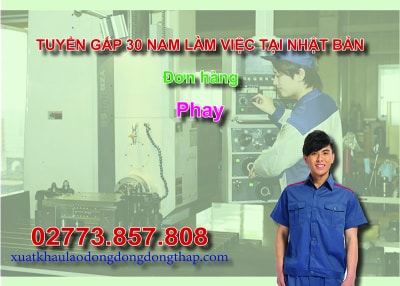 Tuyển gấp 30 nam làm việc tại Nhật Bản đơn hàng phay