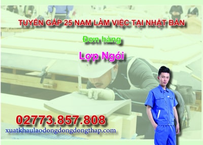 Tuyển gấp 25 nam làm việc tại Nhật Bản đơn hàng lợp ngói