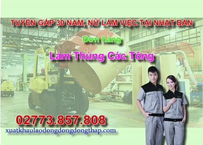 Tuyển gấp 30 nam, nữ làm việc tại Nhật Bản đơn hàng làm thùng các tông