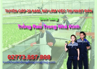 Căn cứ vào thông báo tuyển dụng lao động đi làm việc tại Nhật Bản của công ty đưa người lao động đi làm việc ở nước ngoài theo hợp đồng. Trung tâm...