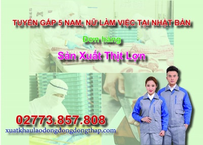 Căn cứ vào thông báo tuyển dụng lao động đi làm việc tại Nhật Bản của công ty đưa người lao động đi làm việc ở nước ngoài theo hợp đồng. Trung tâm...
