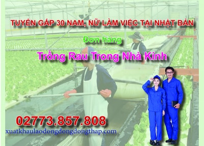 Căn cứ vào thông báo tuyển dụng lao động đi làm việc tại Nhật Bản của công ty đưa người lao động đi làm việc ở nước ngoài theo hợp đồng. Trung tâm...