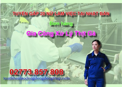 Căn cứ vào thông báo tuyển dụng lao động đi làm việc tại Nhật Bản của công ty đưa người lao động đi làm việc ở nước ngoài theo hợp đồng. Trung tâm...