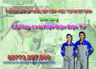 Căn cứ vào thông báo tuyển dụng lao động đi làm việc tại Nhật Bản của công ty đưa người lao động đi làm việc ở nước ngoài theo hợp đồng. Trung tâm...