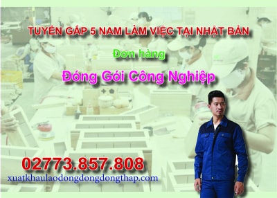 Tuyển gấp 5 nam làm việc tại Nhật Bản đơn hàng đóng gói công nghiệp