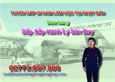Tuyển gấp 25 nam làm việc tại Nhật Bản đơn hàng sắp xếp hành lý sân bay