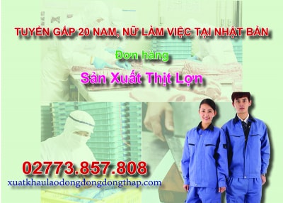 Tuyển gấp 20 nam, nữ làm việc tại Nhật Bản đơn hàng sản xuất thịt lợn