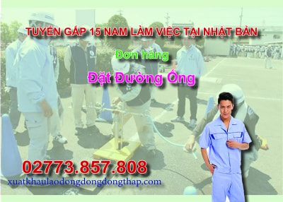 Tuyển gấp 15 nam làm việc tại Nhật Bản đơn hàng đặt đường ống