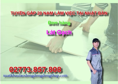 Tuyển gấp 20 nam làm việc tại Nhật Bản đơn hàng lát gạch