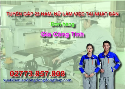 Tuyển gấp 25 nam, nữ làm việc tại Nhật Bản đơn hàng gia công tinh