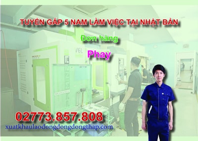 Tuyển gấp 5 nam làm việc tại Nhật Bản đơn hàng phay