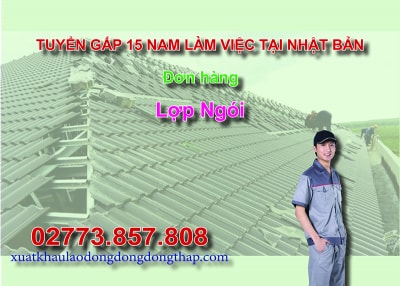 Tuyển gấp 15 nam làm việc tại Nhật Bản đơn hàng lợp ngói