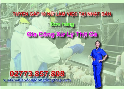 Tuyển gấp 10 nữ làm việc tại Nhật Bản đơn hàng gia công xử lý thịt gà