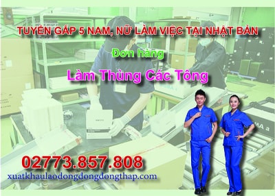 Tuyển gấp 5 nam, nữ làm việc tại Nhật Bản đơn hàng làm thùng các tông