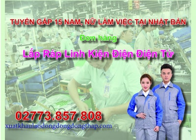 Tuyển gấp 15 nam, nữ làm việc tại Nhật Bản đơn hàng lắp ráp linh kiện điện điện tử