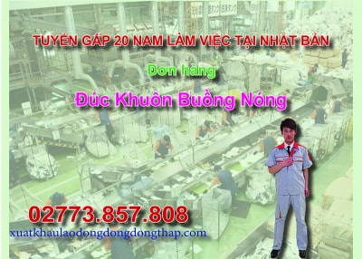 Tuyển gấp 20 nam làm việc tại Nhật Bản đơn hàng đúc khuôn buồng nóng