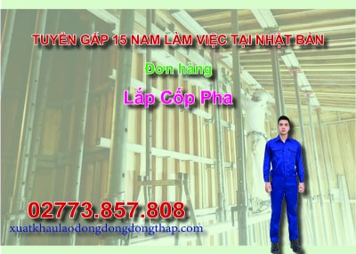 Tuyển gấp 15 nam làm việc tại Nhật Bản đơn hàng lắp cốp pha