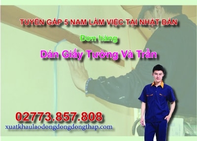 Tuyển gấp 5 nam làm việc tại Nhật Bản đơn hàng dán giấy tường và trần