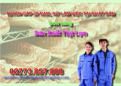 Tuyển gấp 20 nam, nữ làm việc tại Nhật Bản đơn hàng sản xuất thịt lợn