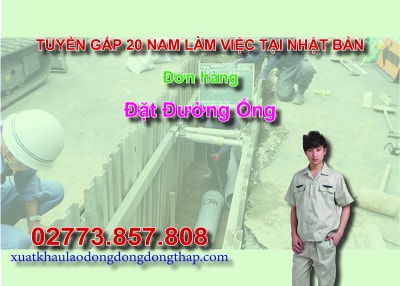 Tuyển gấp 20 nam làm việc tại Nhật Bản đơn hàng đặt đường ống