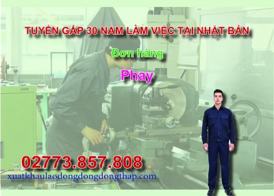Tuyển gấp 30 nam làm việc tại Nhật Bản đơn hàng phay