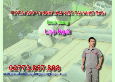 Tuyển gấp 10 nam làm việc tại Nhật Bản đơn hàng lợp ngói