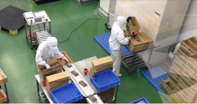 Tuyển gấp 30 nam làm việc tại Nhật Bản đơn hàng Đóng gói hành lý sân bay