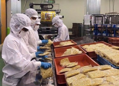 Lao động có thu nhập cao khi đi làm việc ở nước ngoài do Trung tâm DVVL Đồng Tháp giới thiệu