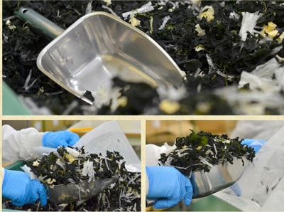 Tuyển gấp 6 nữ làm việc tại Nhật Bản đơn hàng Thực phẩm rong biển