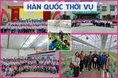 Thông báo Tuyển lao động đi làm việc nông nghiệp tại Hàn Quốc theo chương trình thời vụ ngắn hạn