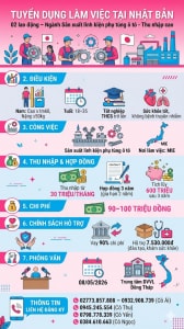 Tuyển gấp 2 nữ làm việc tại Nhật Bản đơn hàng Sản xuất linh kiện phụ tùng ô tô