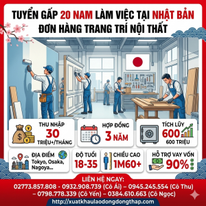 Tuyển gấp 20 nam làm việc tại Nhật Bản đơn hàng Trang trí nội thất