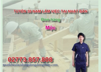 Tuyển 30 nam làm việc tại Nhật Bản đơn hàng mộc