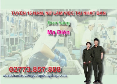 Tuyển 15 nam, nữ làm việc tại Nhật Bản đơn hàng mạ điện