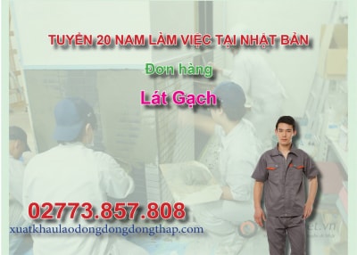 Tuyển 20 nam làm việc tại Nhật Bản đơn hàng lát gạch