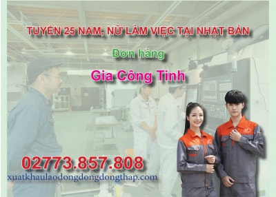 Tuyển 25 nam, nữ làm việc tại Nhật Bản đơn hàng gia công tinh