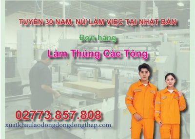 Tuyển 30 nam, nữ làm việc tại Nhật Bản đơn hàng làm thùng các tông