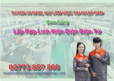 Tuyển 30 nam, nữ làm việc tại Nhật Bản đơn hàng lắp ráp linh kiện điện điện tử