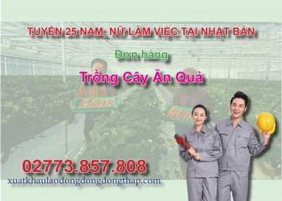 Tuyển 25 nam, nữ làm việc tại Nhật Bản đơn hàng trồng cây ăn quả