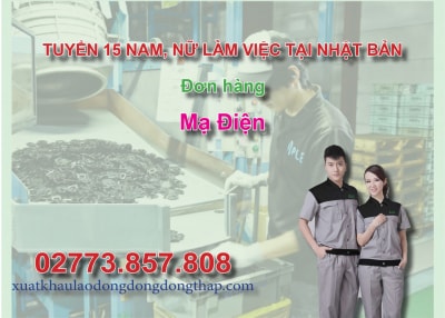 Tuyển 15 nam, nữ làm việc tại Nhật Bản đơn hàng mạ điện