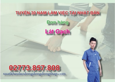 Tuyển 30 nam làm việc tại Nhật Bản đơn hàng lát gạch