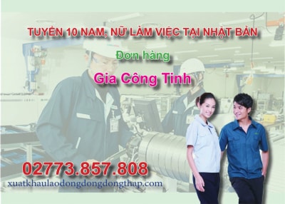 Tuyển 10 nam, nữ làm việc tại Nhật Bản đơn hàng gia công tinh